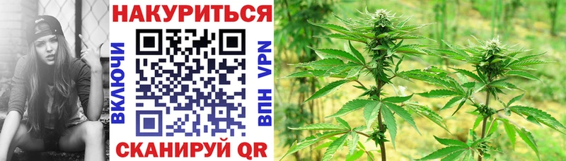 Наркошоп купить ГАШ  COCAIN  A-PVP  Героин  АМФ  Псилоцибиновые грибы  Мефедрон  Конопля  Камызяк
