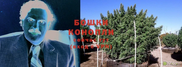 бутират Гусь-Хрустальный