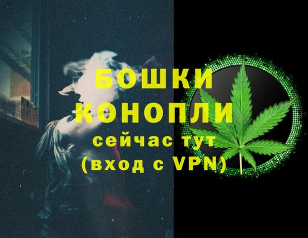 ешки Гусиноозёрск