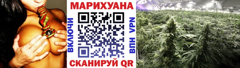 Бошки марихуана MAZAR  Купить закладки  Камызяк 